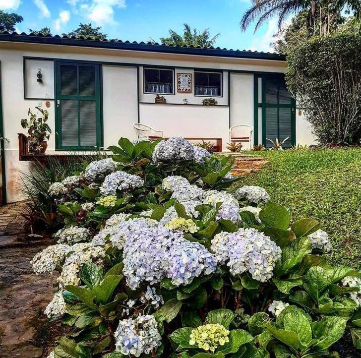 Pinheiros Do Rocio Hotel Petropolis  Exterior photo